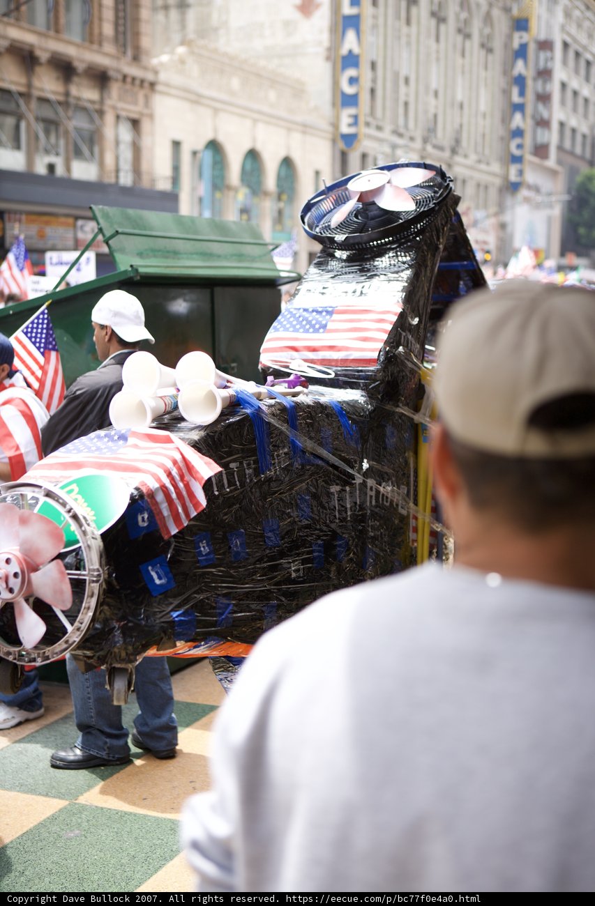 Patriotic Protester