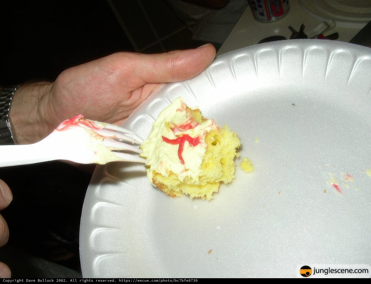 Indulging in Delicious Cake