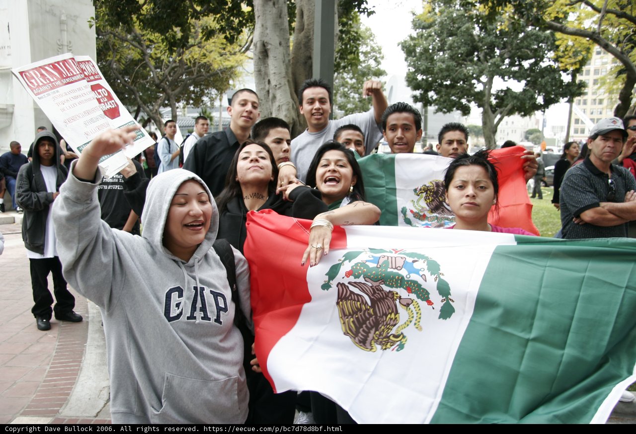 Mexican Flag and Protest Signs