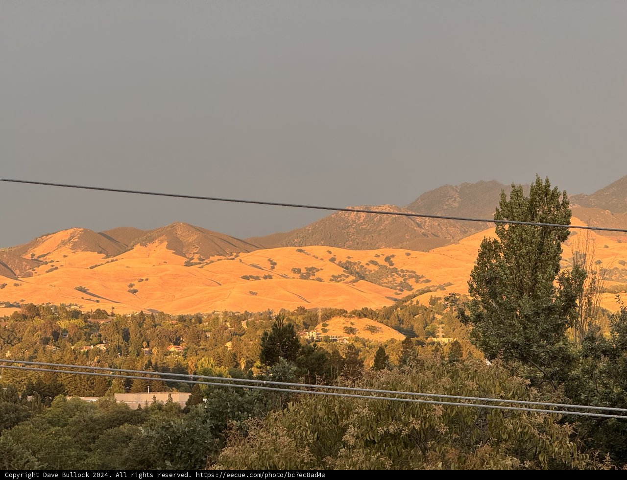 Golden Hills at Sunset