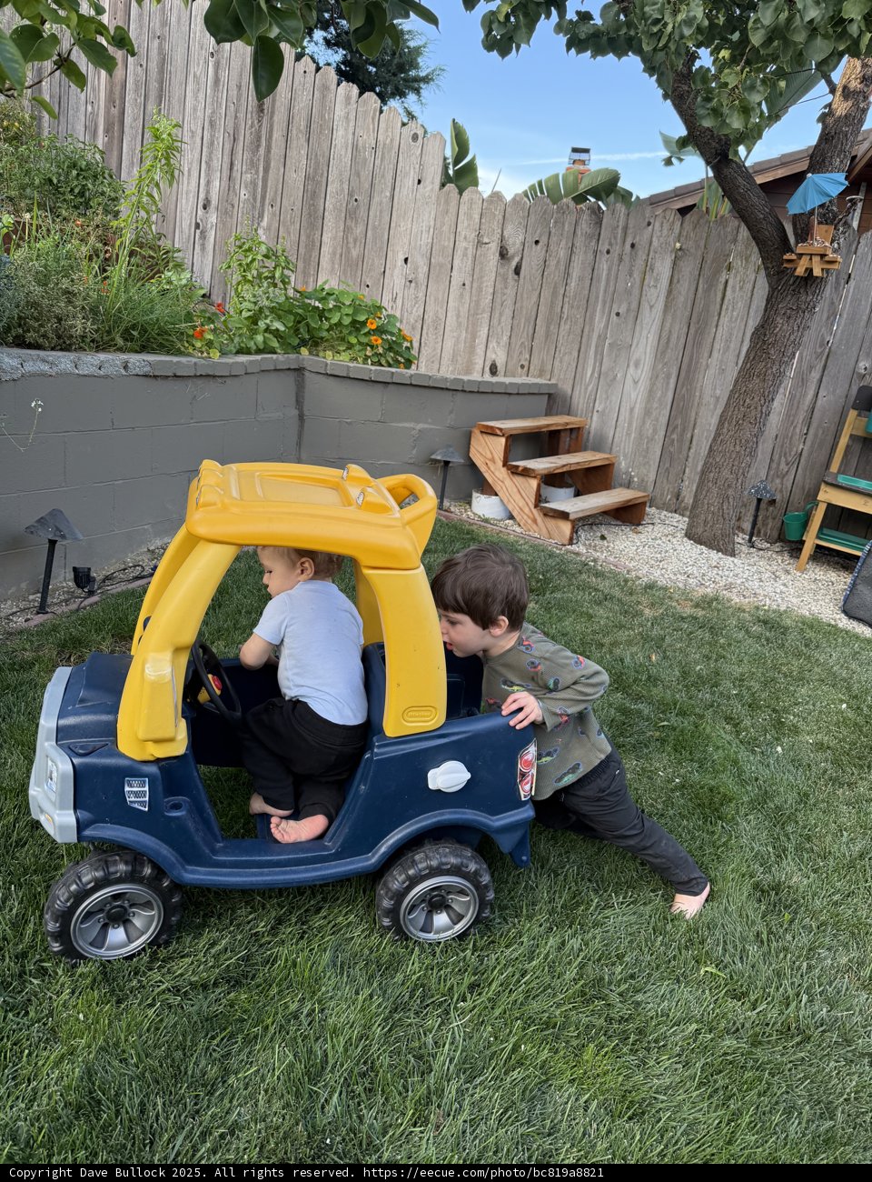 Backyard Adventures: A Playful Journey