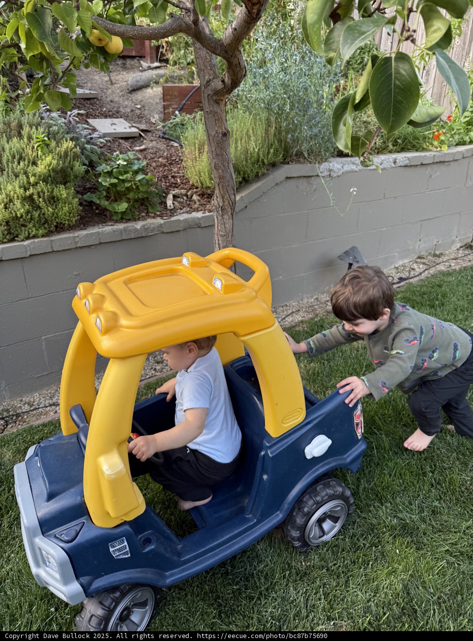 Backyard Adventures