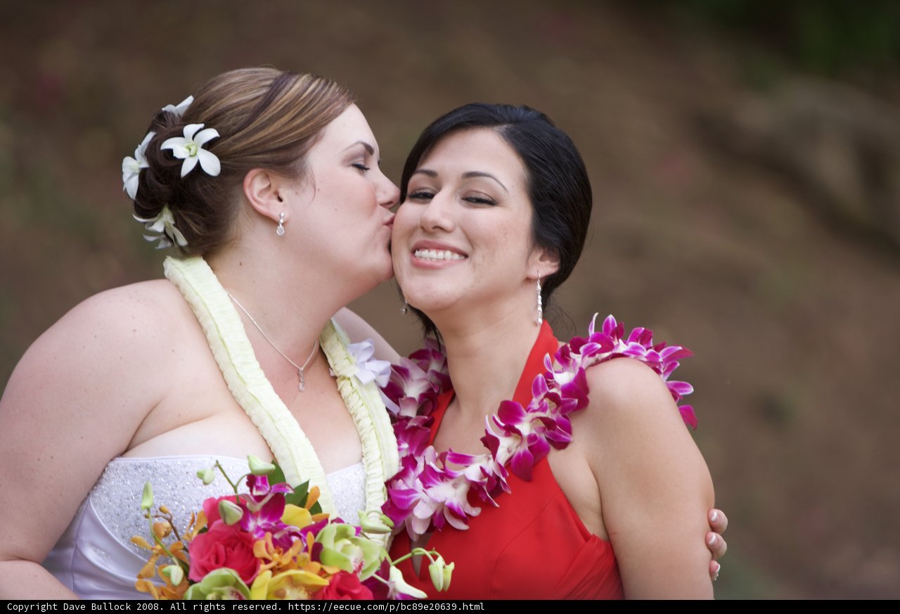 Bridal Bliss