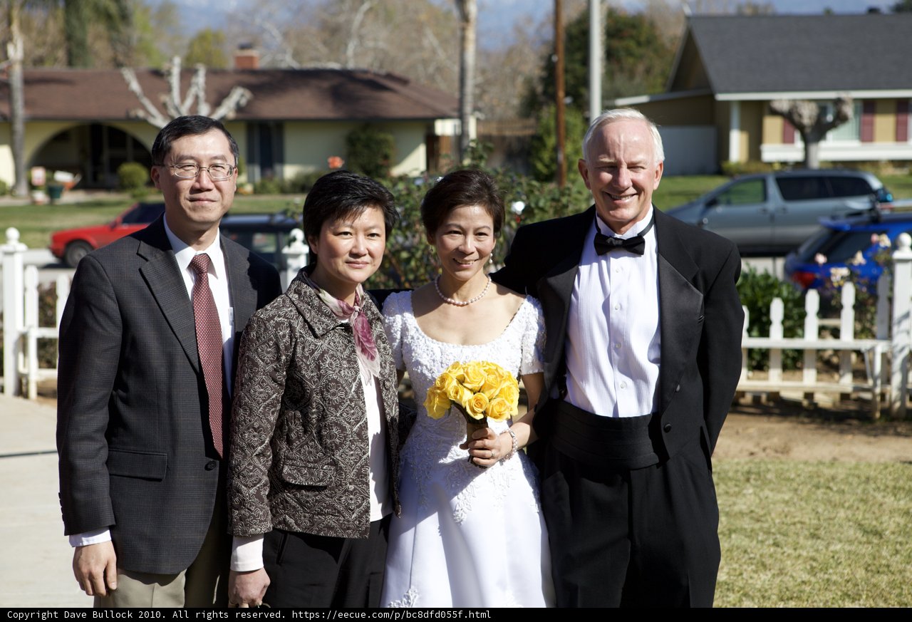 A Formal Bridal Party