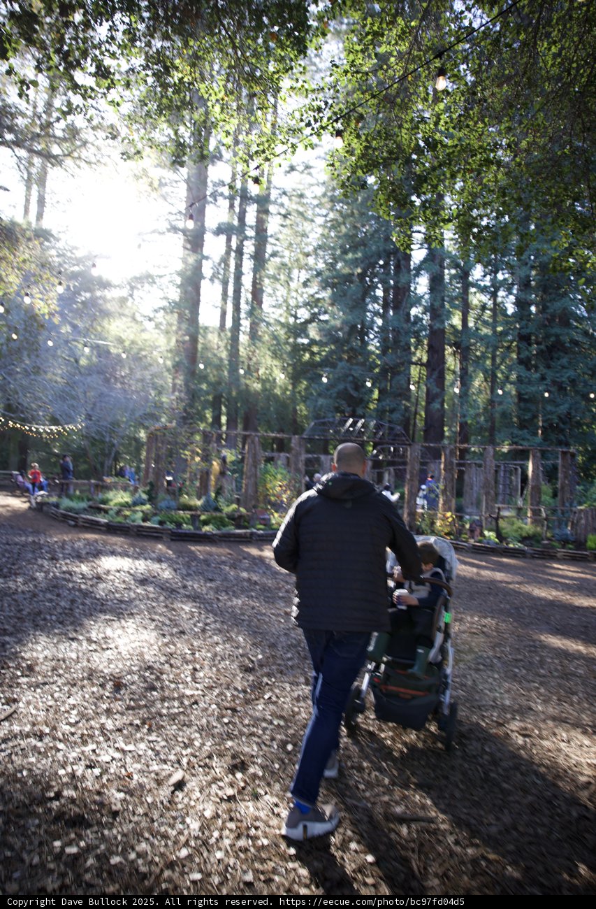 A Stroll Through Thistlewyck Grove