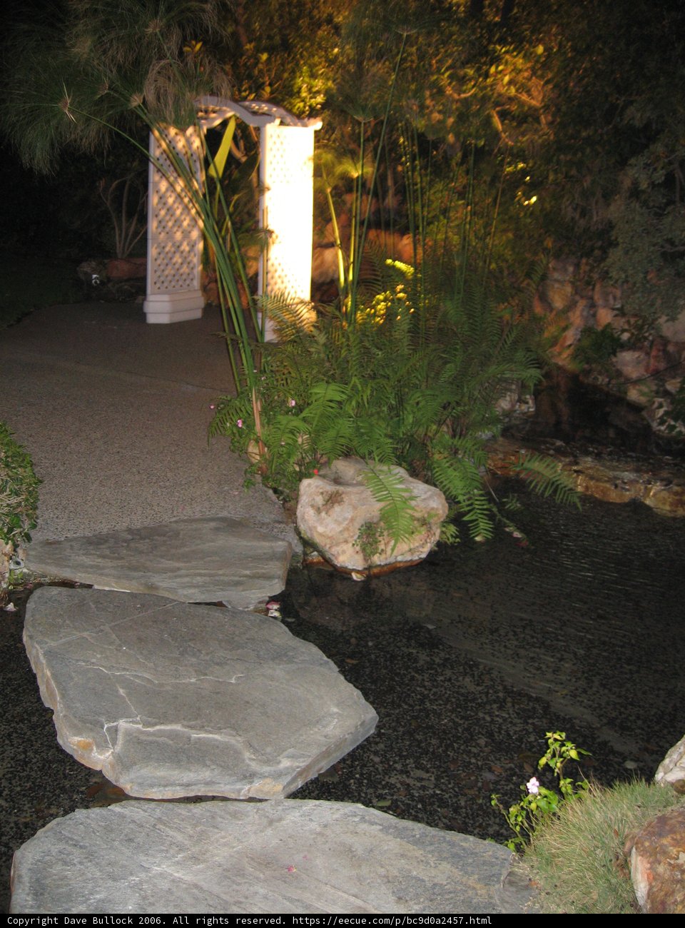 Illuminated Pathway at Night