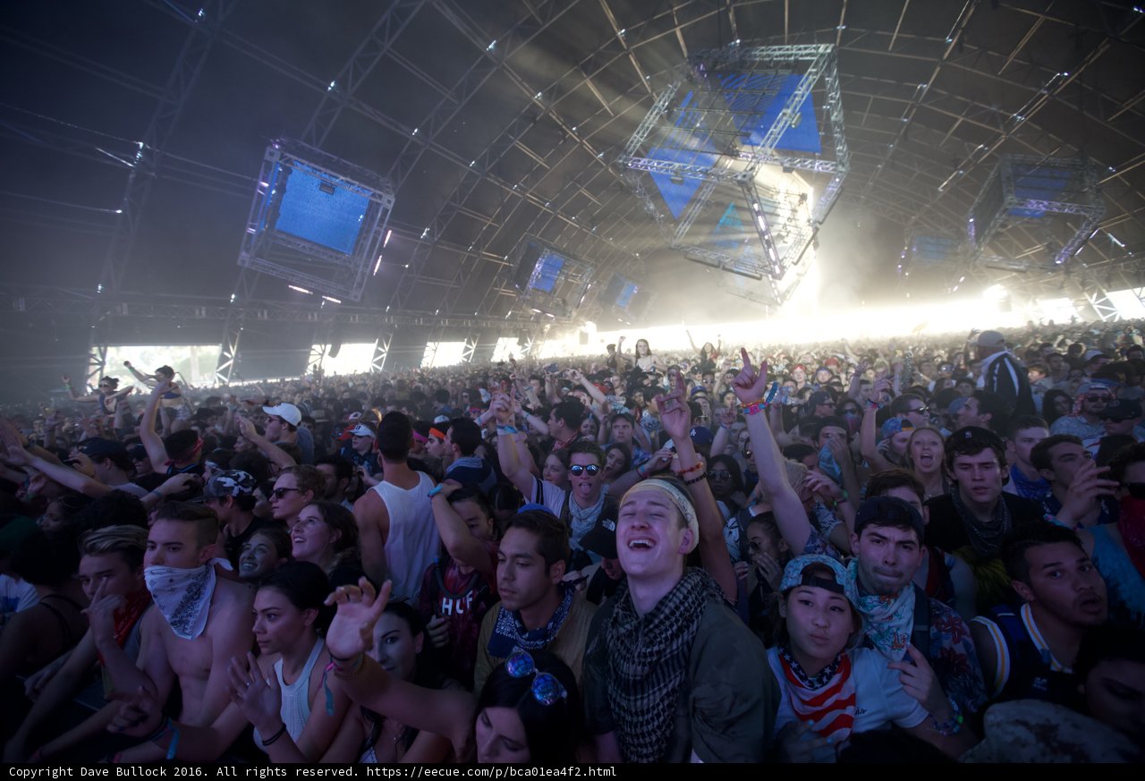 Coachella Concertgoers