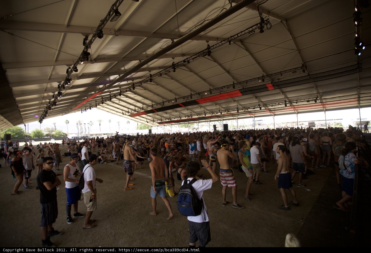 The Thrilling Crowd at Coachella Music Festival