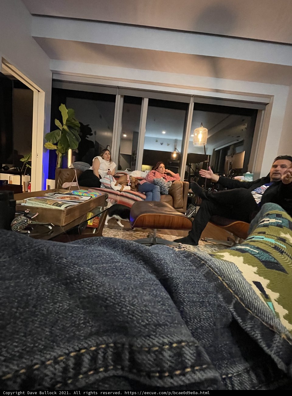 Relaxing on the Couch