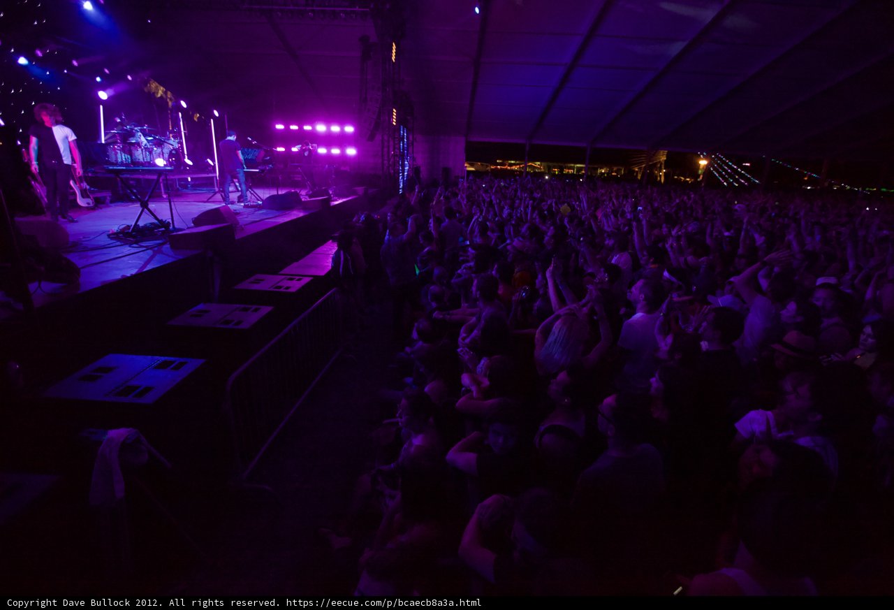 Purple Haze at Coachella 2012