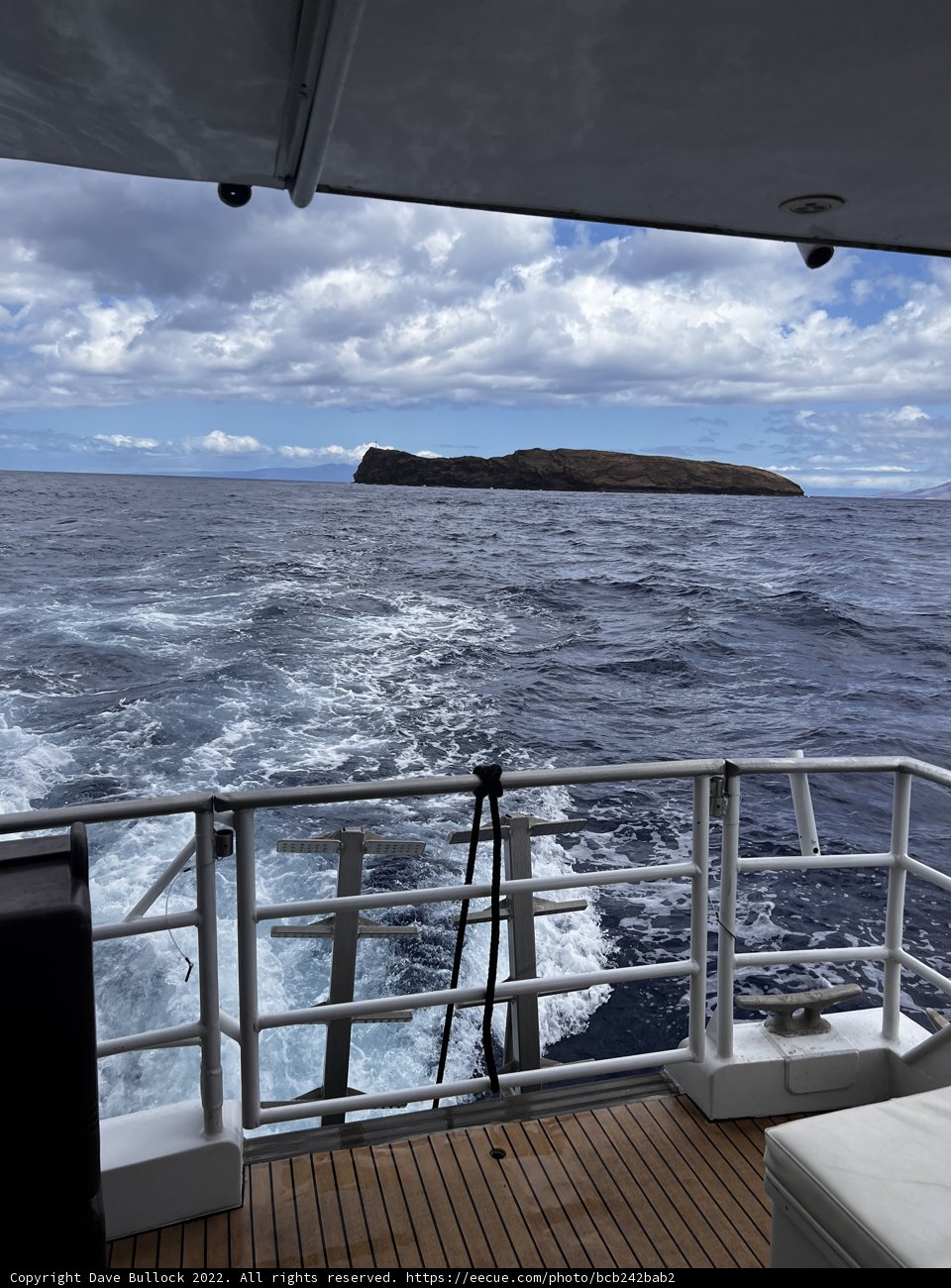 Oceanic Scenery from the Boat Deck