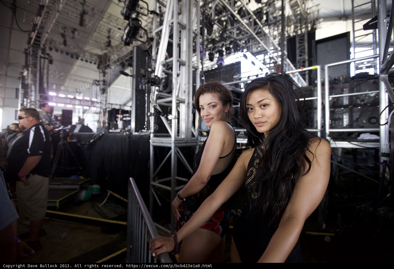 Festival Friends