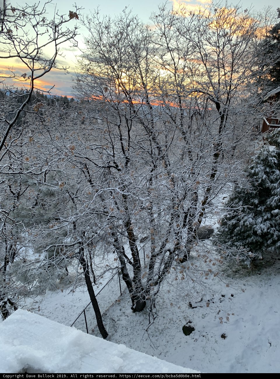 Winter Wonderland Tree