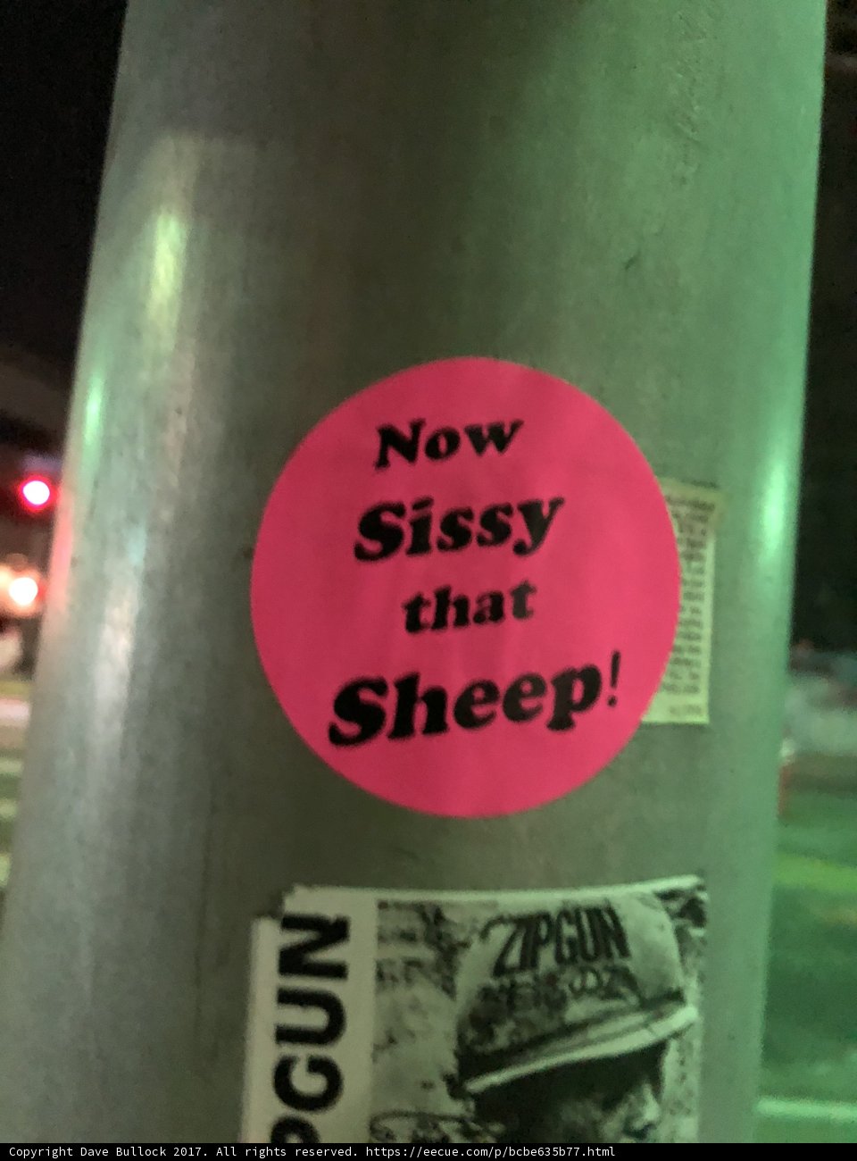 Now Sissy That Sheep Sticker on The Broad Pole
