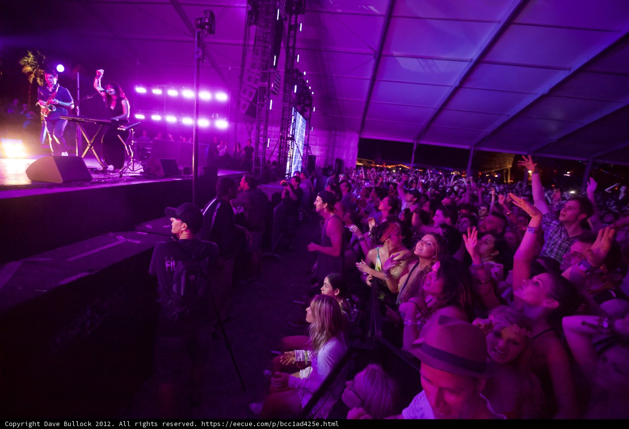 Purple Haze at Coachella