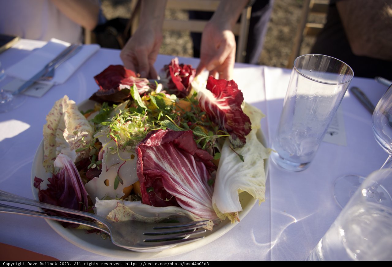 Elegant Brunch Spread at Hog Island Oyster Co, 2023