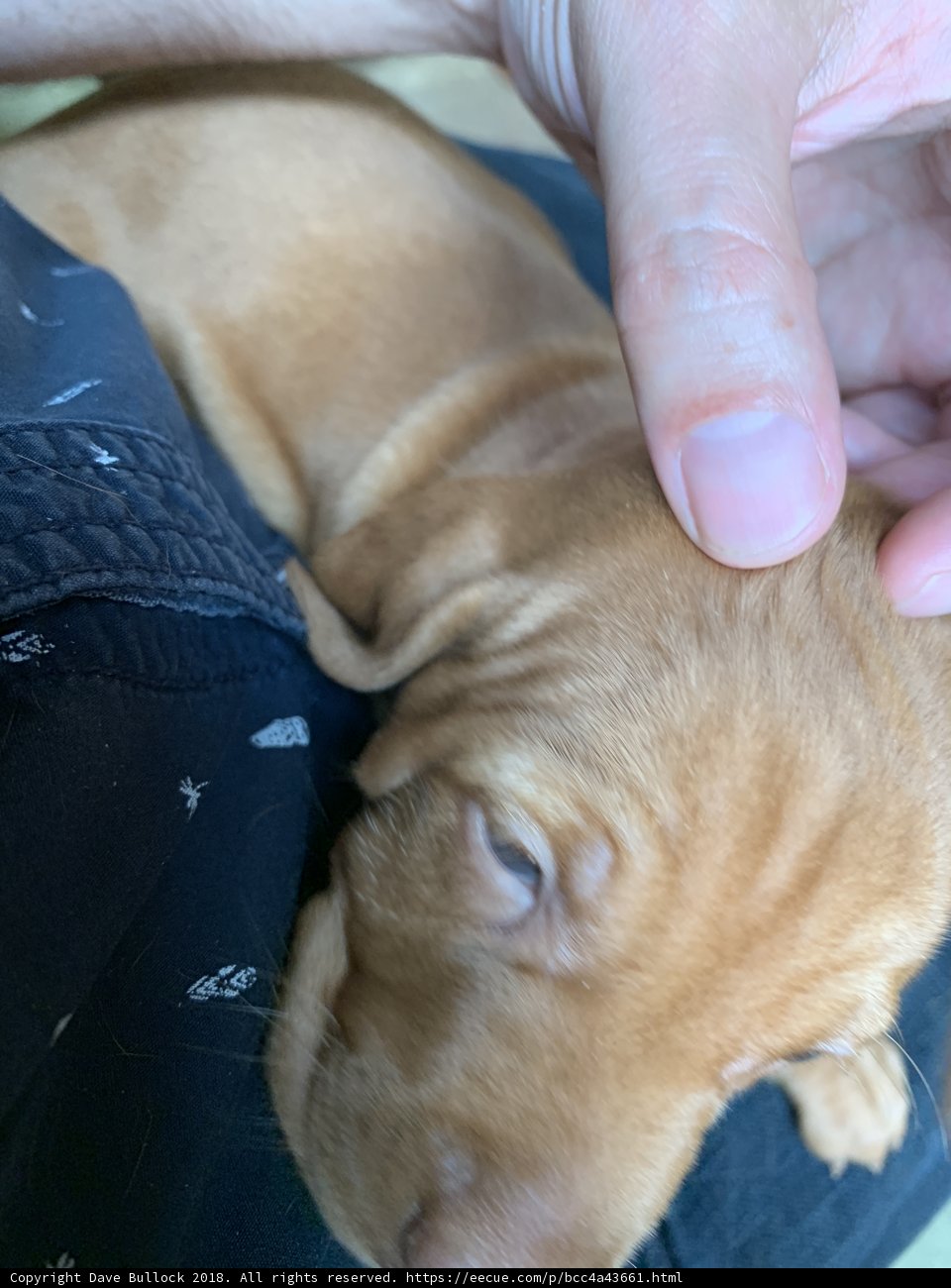 A Gentle Touch