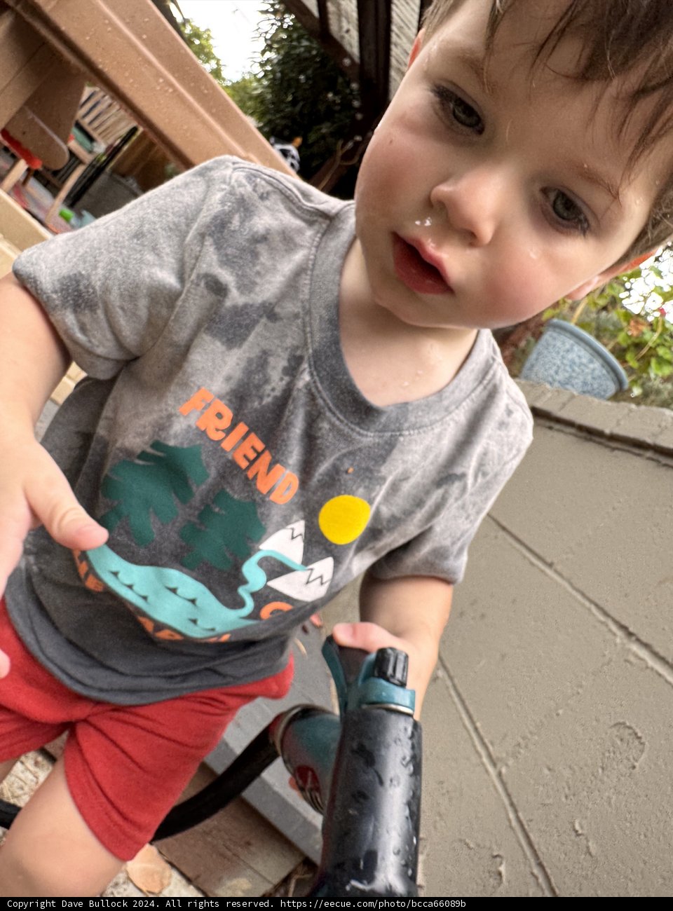Summer Splash Adventure