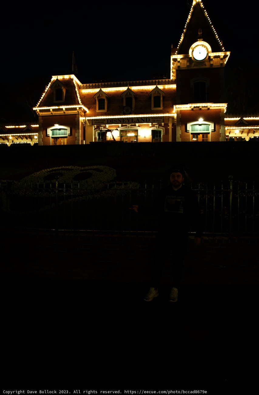 A Magical Night at Disneyland