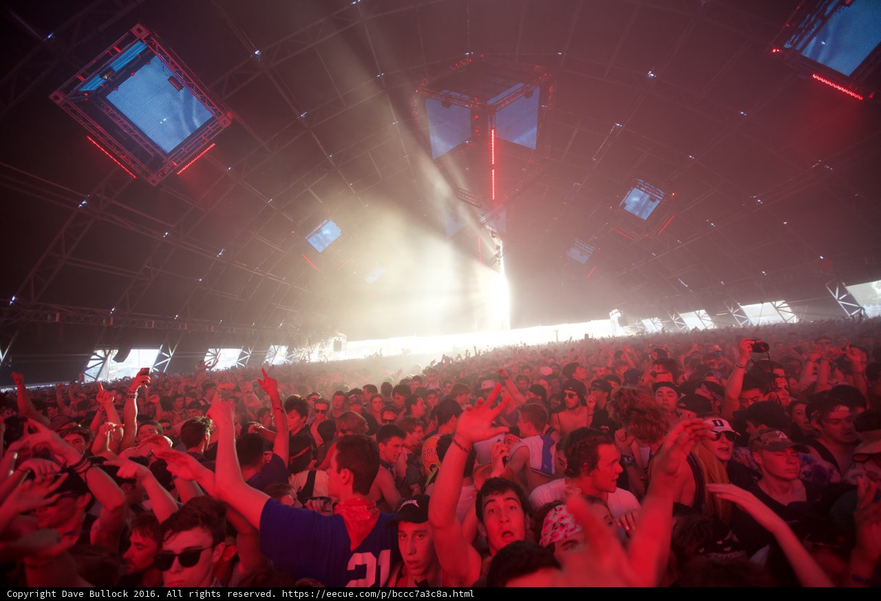 Electric Crowd at Coachella 2016