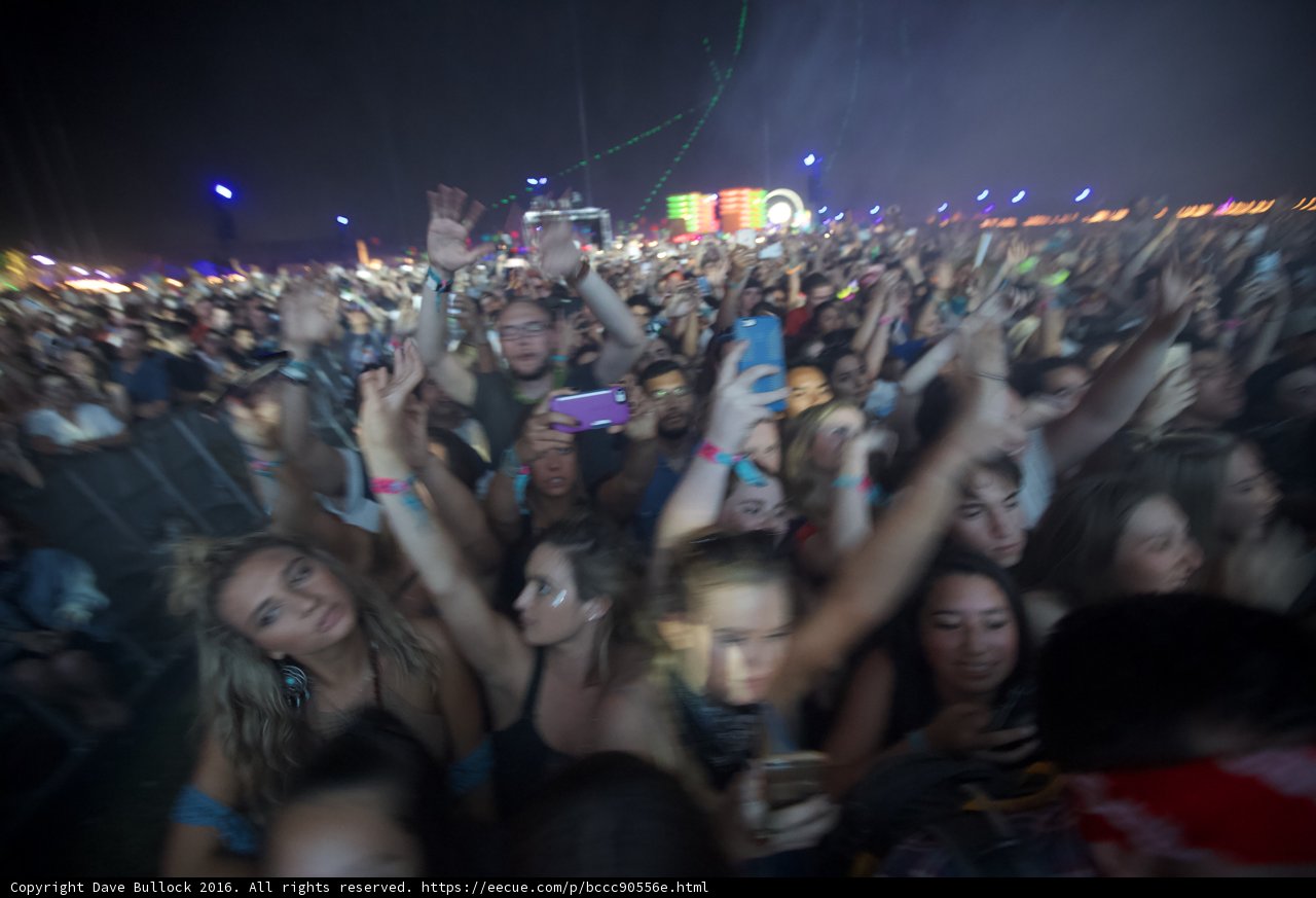 Hands in the Air at Coachella
