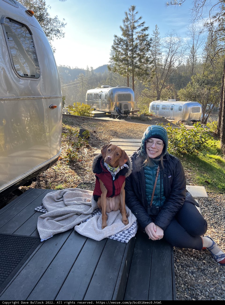 Airstream Adventure with furry friend