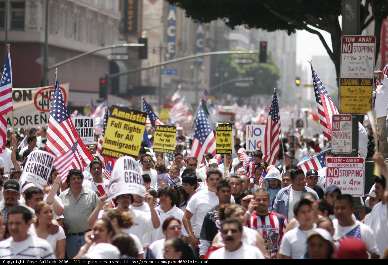 Patriotic Protesters