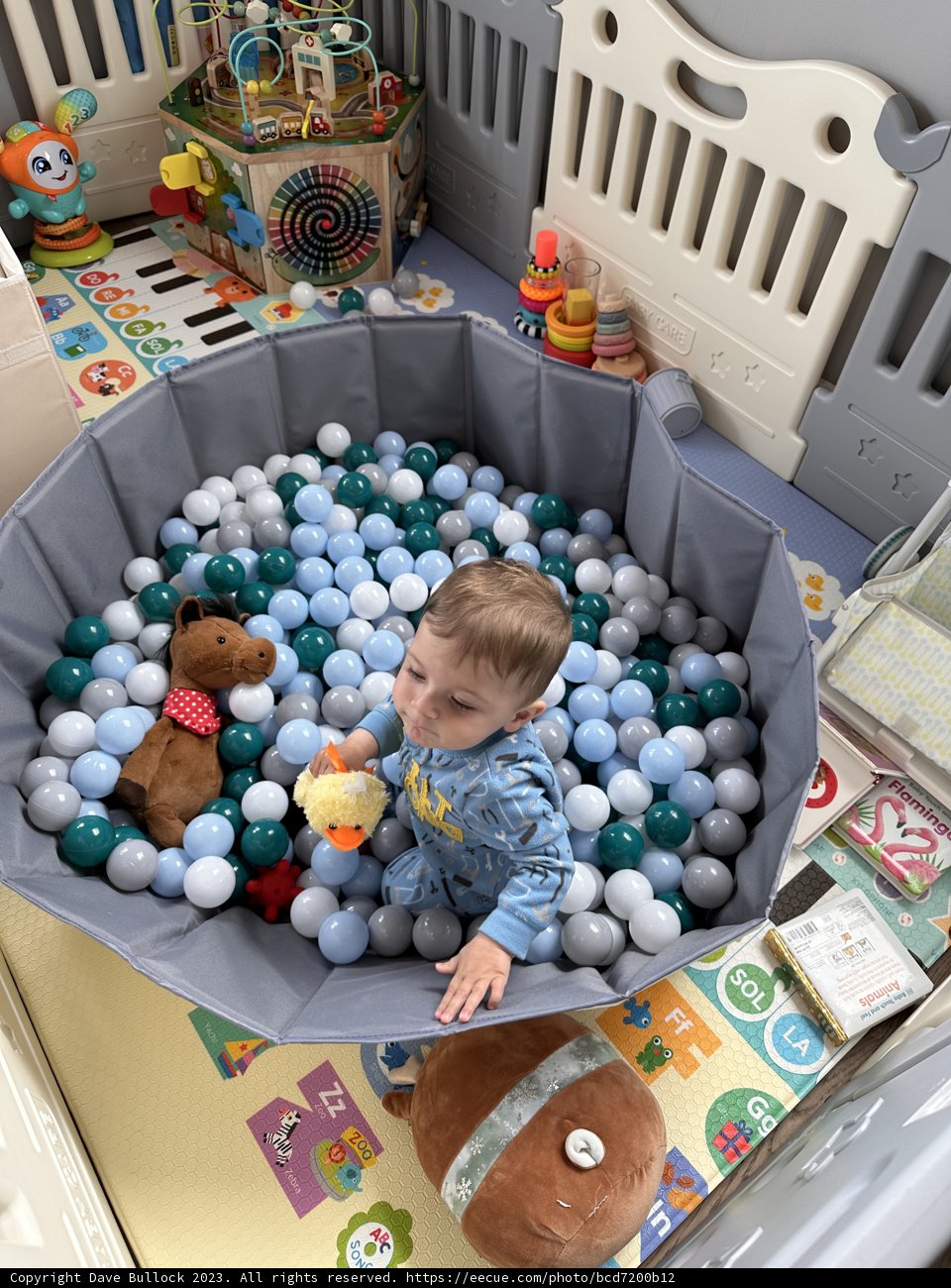 Wesley's Ball Pit Adventure