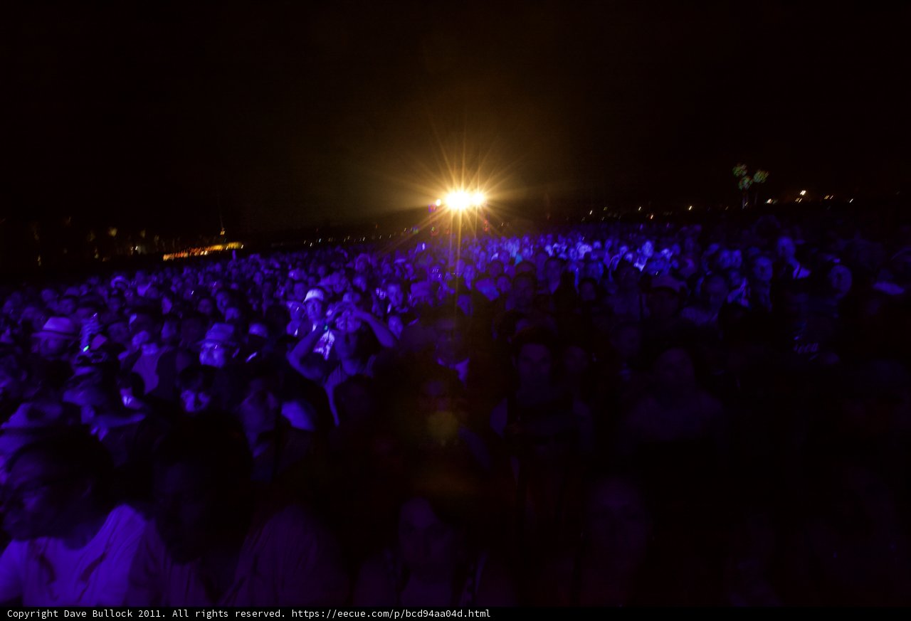 Nightlife Under the Stars