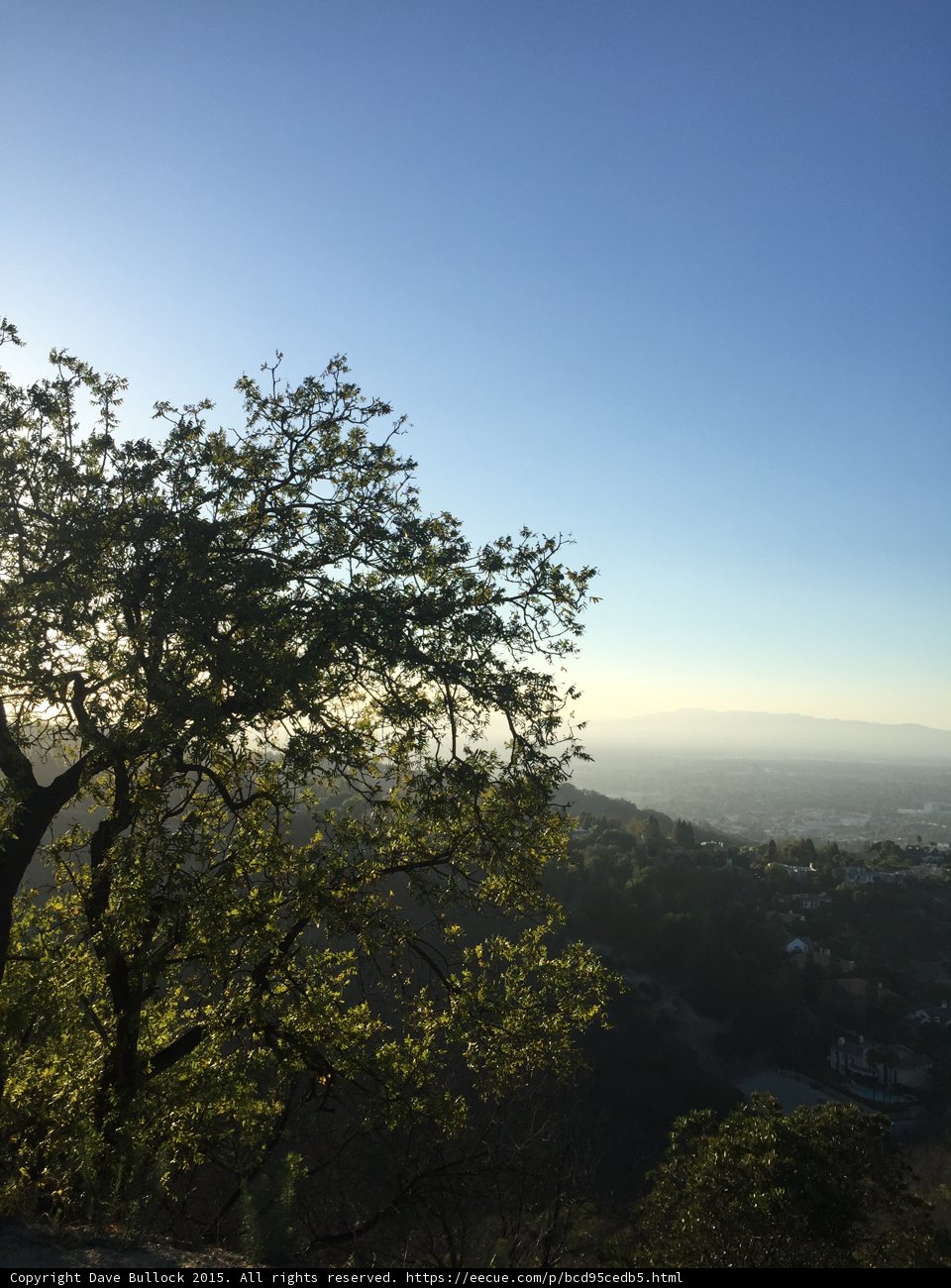 Oak Tree Vista Point