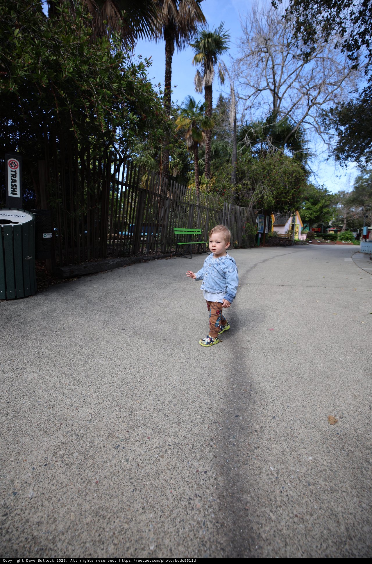 Toddler Exploring Path at Tree-Lined Park