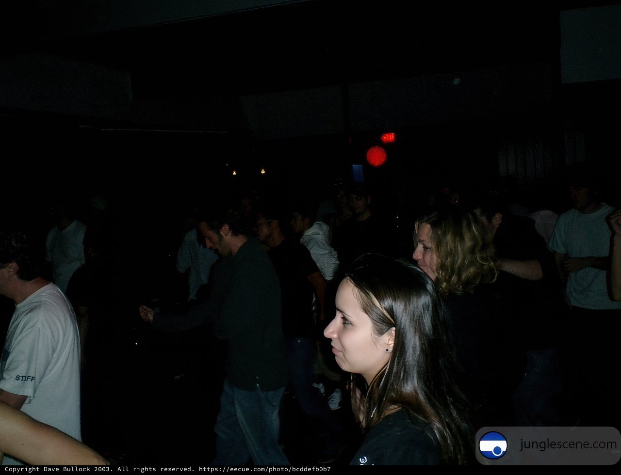 Night Club Gathering