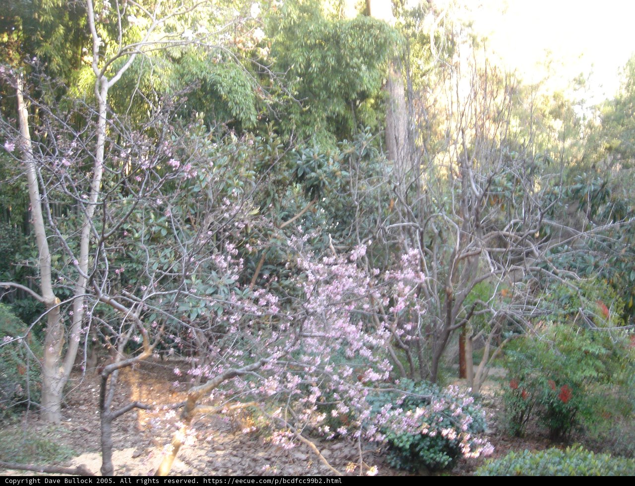 Glimpse of Nature's Beauty