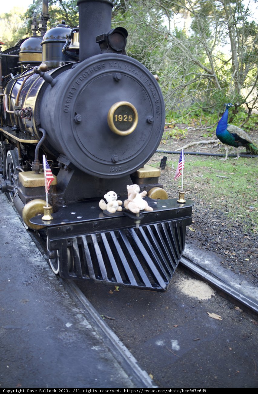 Majestic Iron Steed: The Locomotive