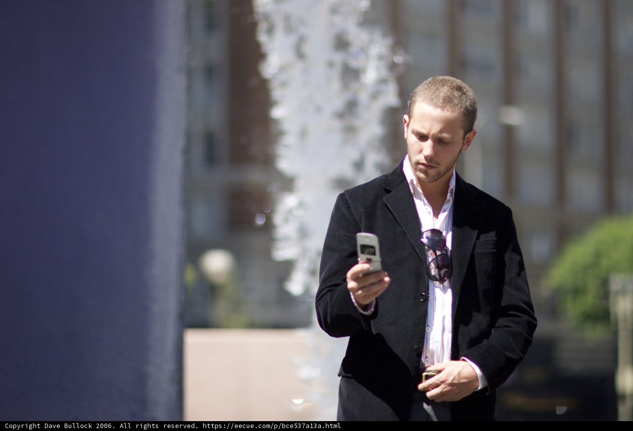 The Businessman and his Cell Phone