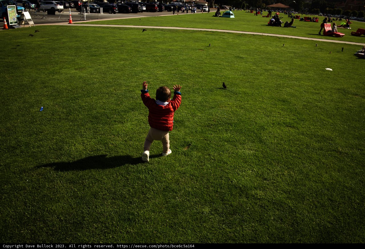 Summer Serenity: A Day at Presidio Park