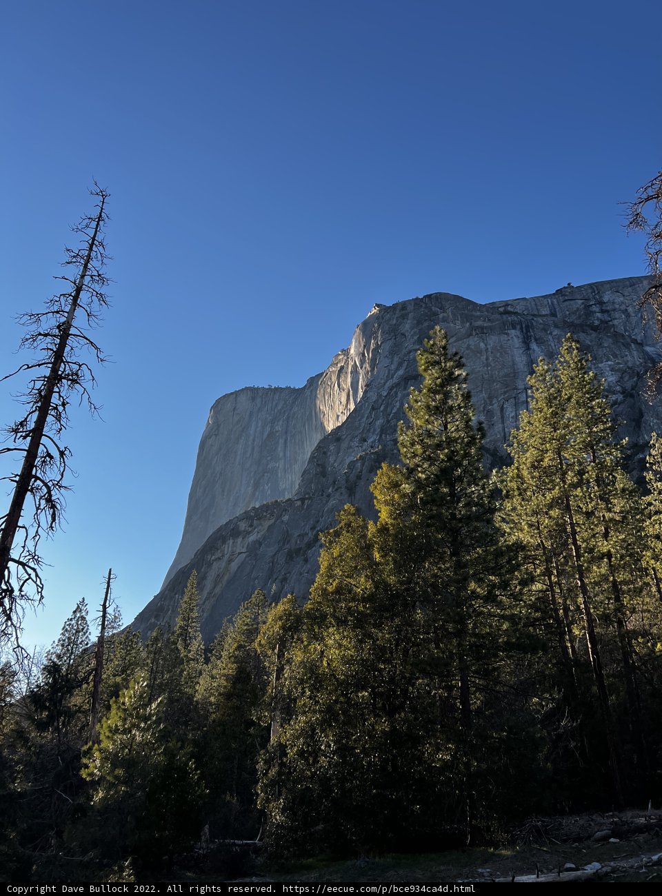 Majestic Half Dome in Yosemite
