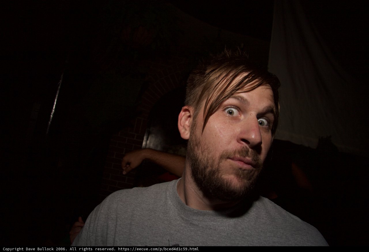 Bearded Man Looks into the Camera