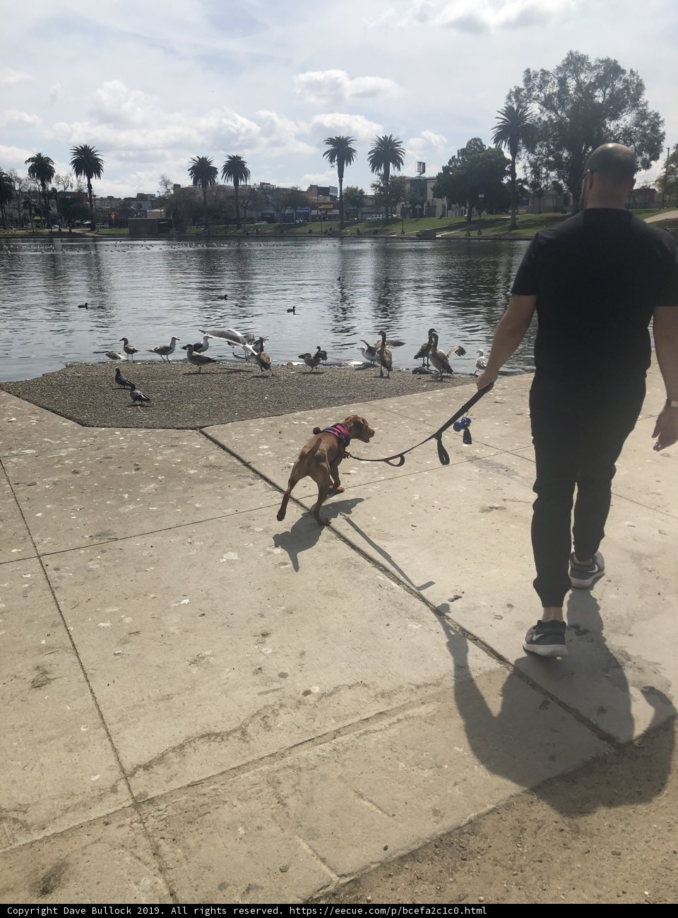 Lake Walk