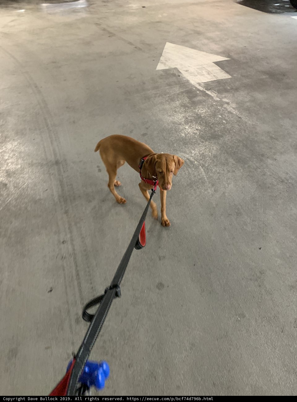 Solo stroll