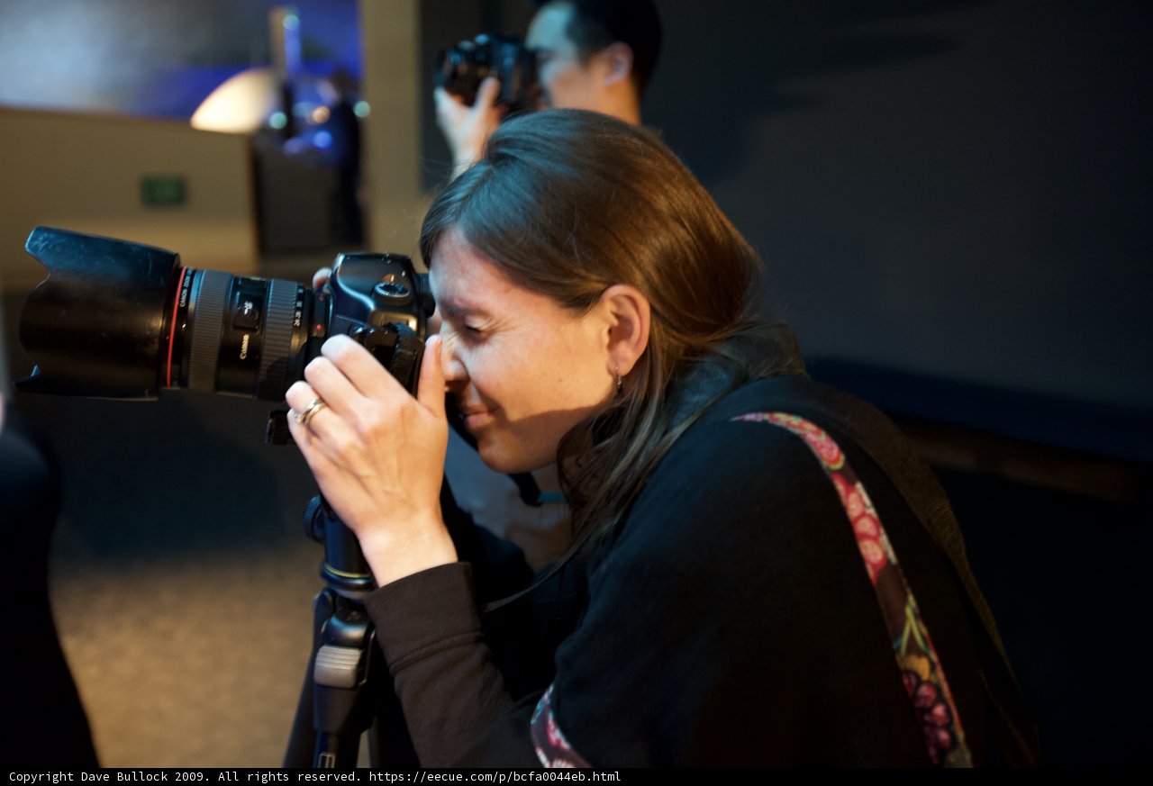 Capturing Memories at the Aquarium