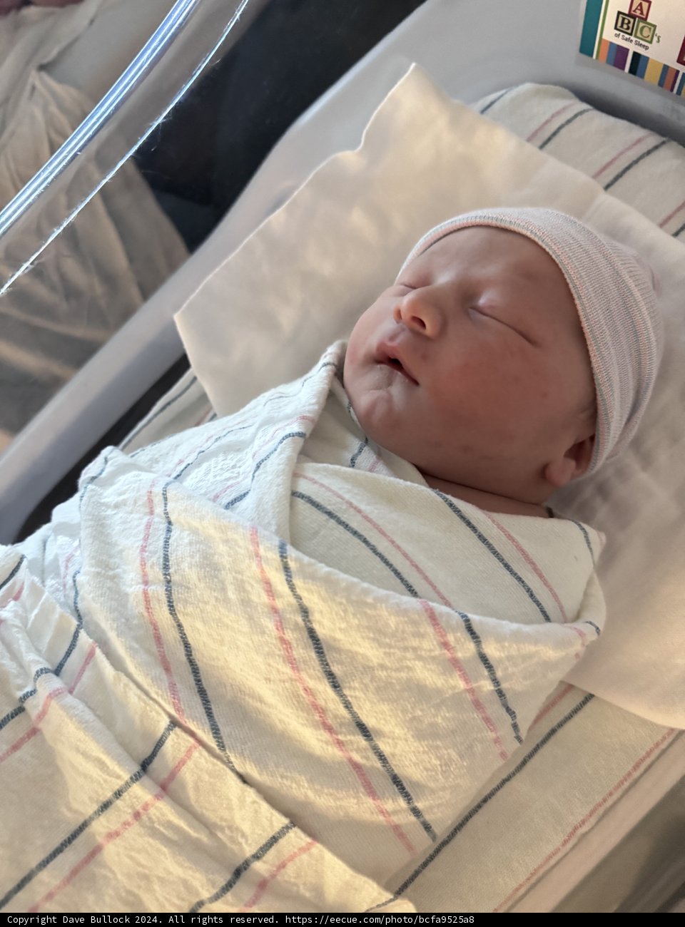 Welcome to the World, Leland