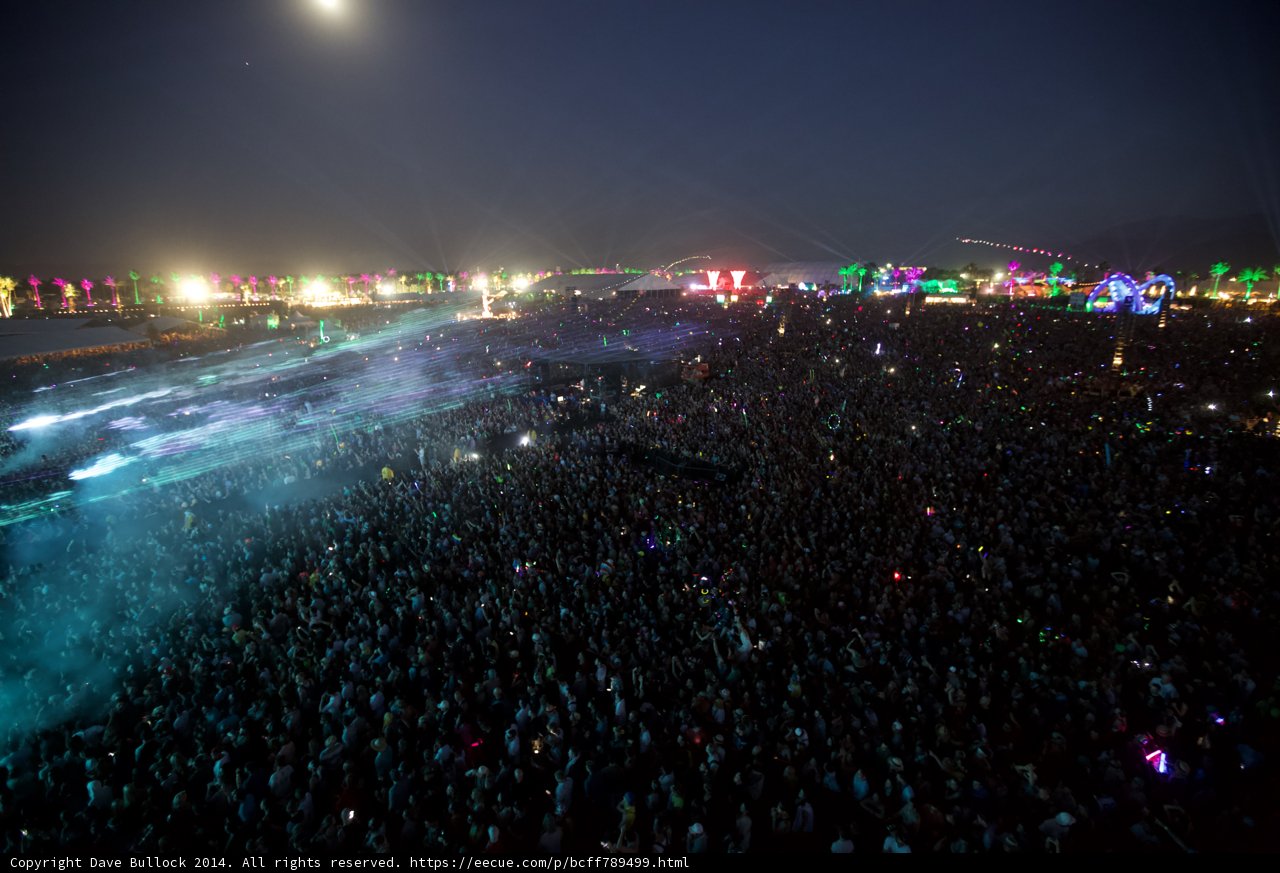 Festival Frenzy