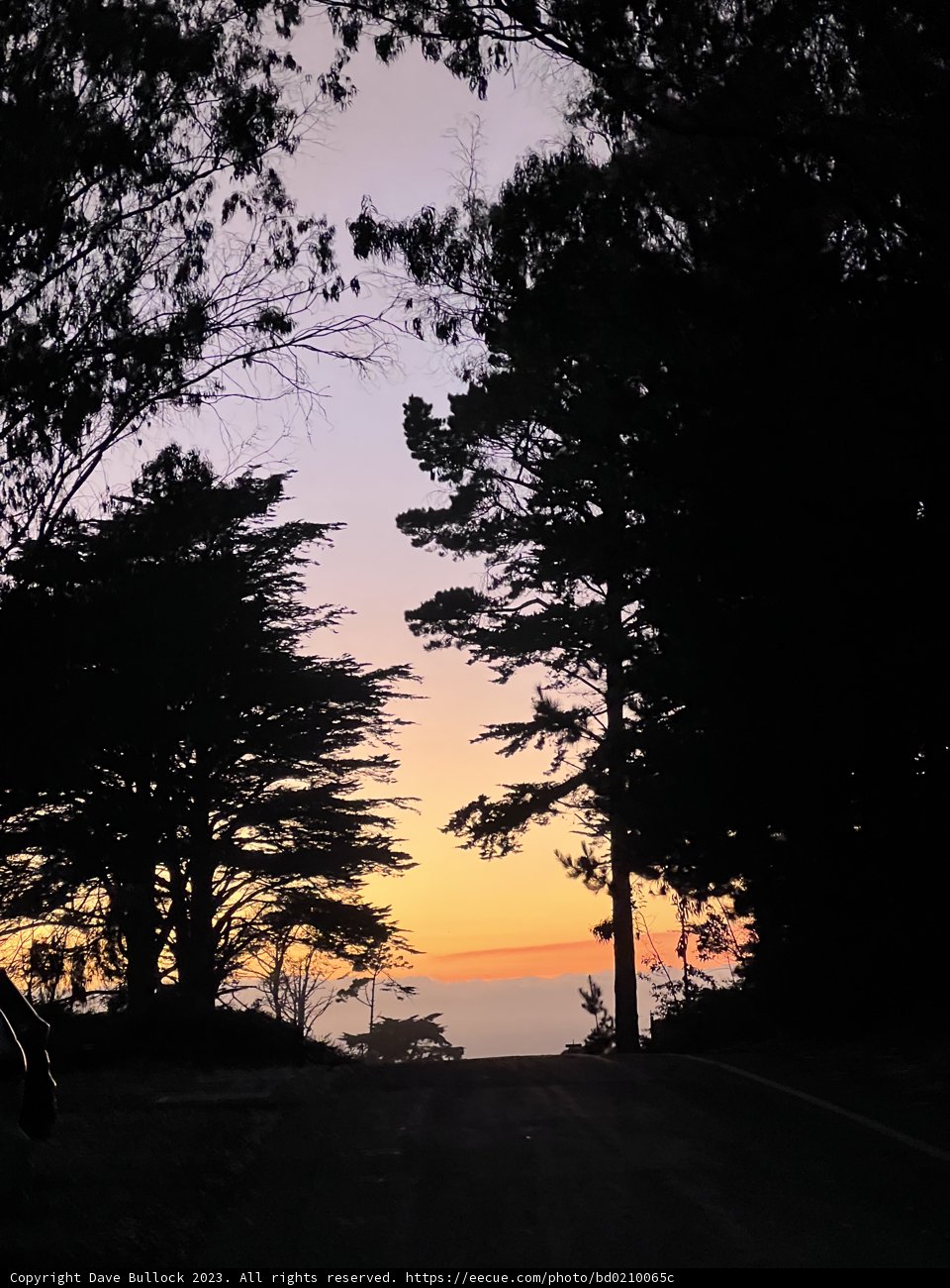 Golden Hour at Presidio Beach