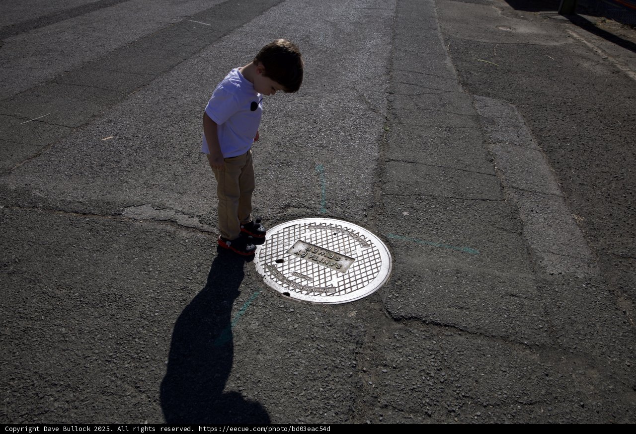 Curious Discoveries on the City Streets