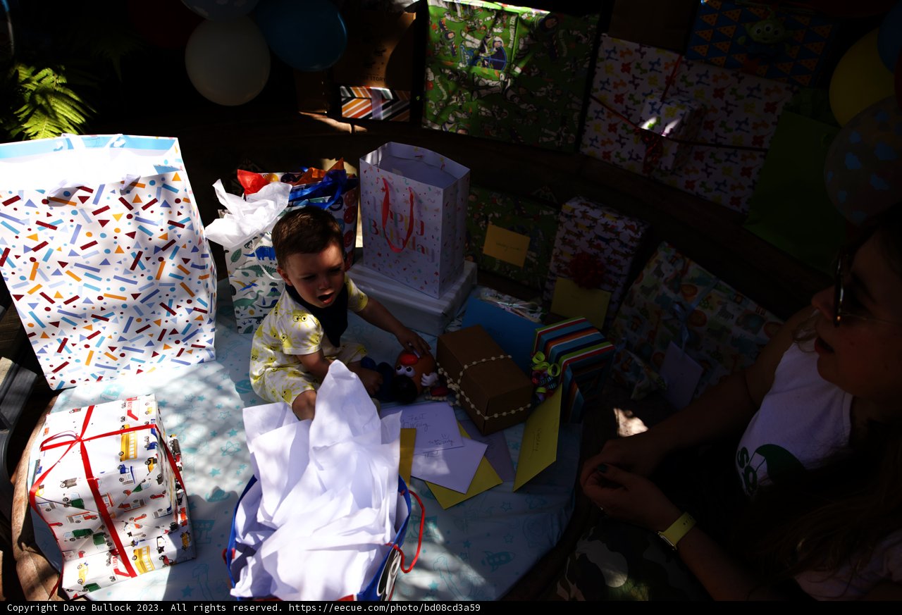 Celebration of a Lifetime: Wesley's First Birthday