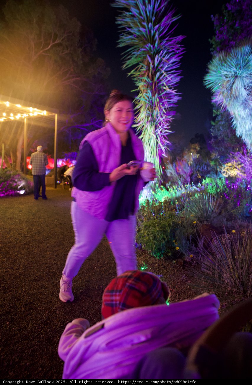 Enchanted Night at the Garden