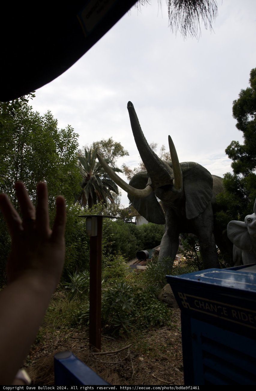 Grand Safari Adventure