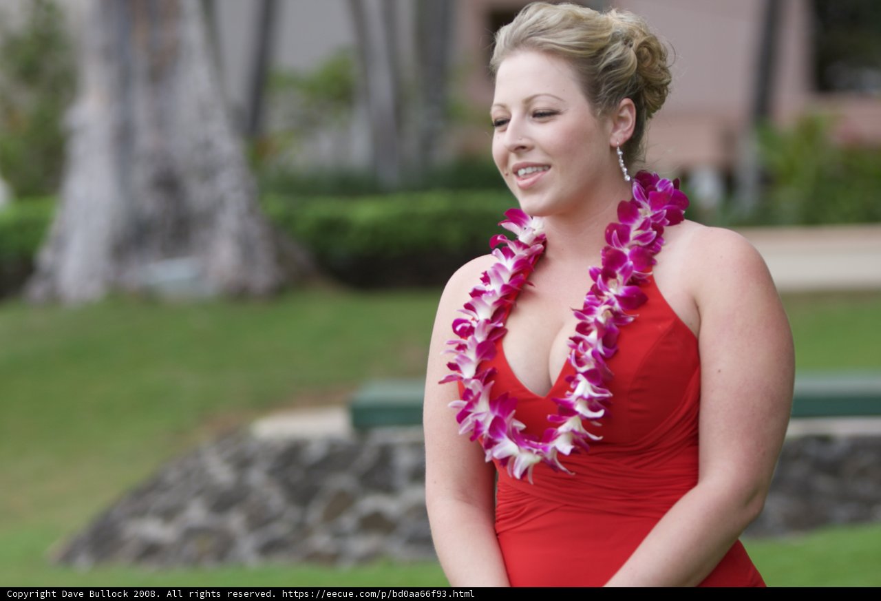 Red Dress and Lei