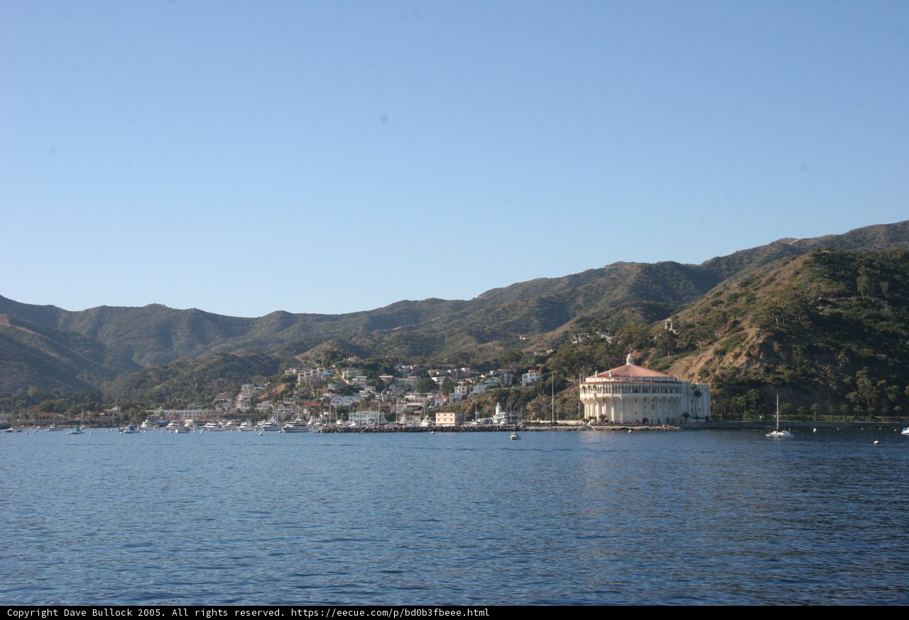 Serene Promontory by the Water
